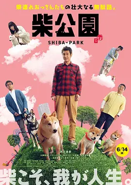 伊人电影综合网