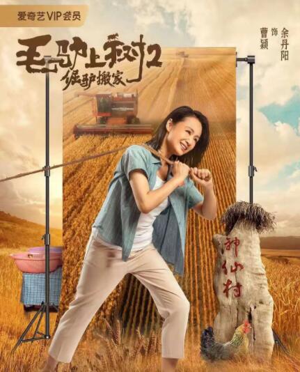 99久久精品免费观看区一