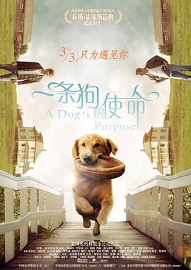免费看欧美日韩一区二区三区